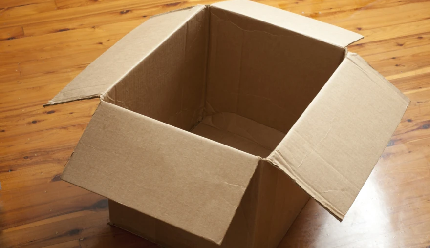 Dag 27. Probleem&shy;verplaatsing